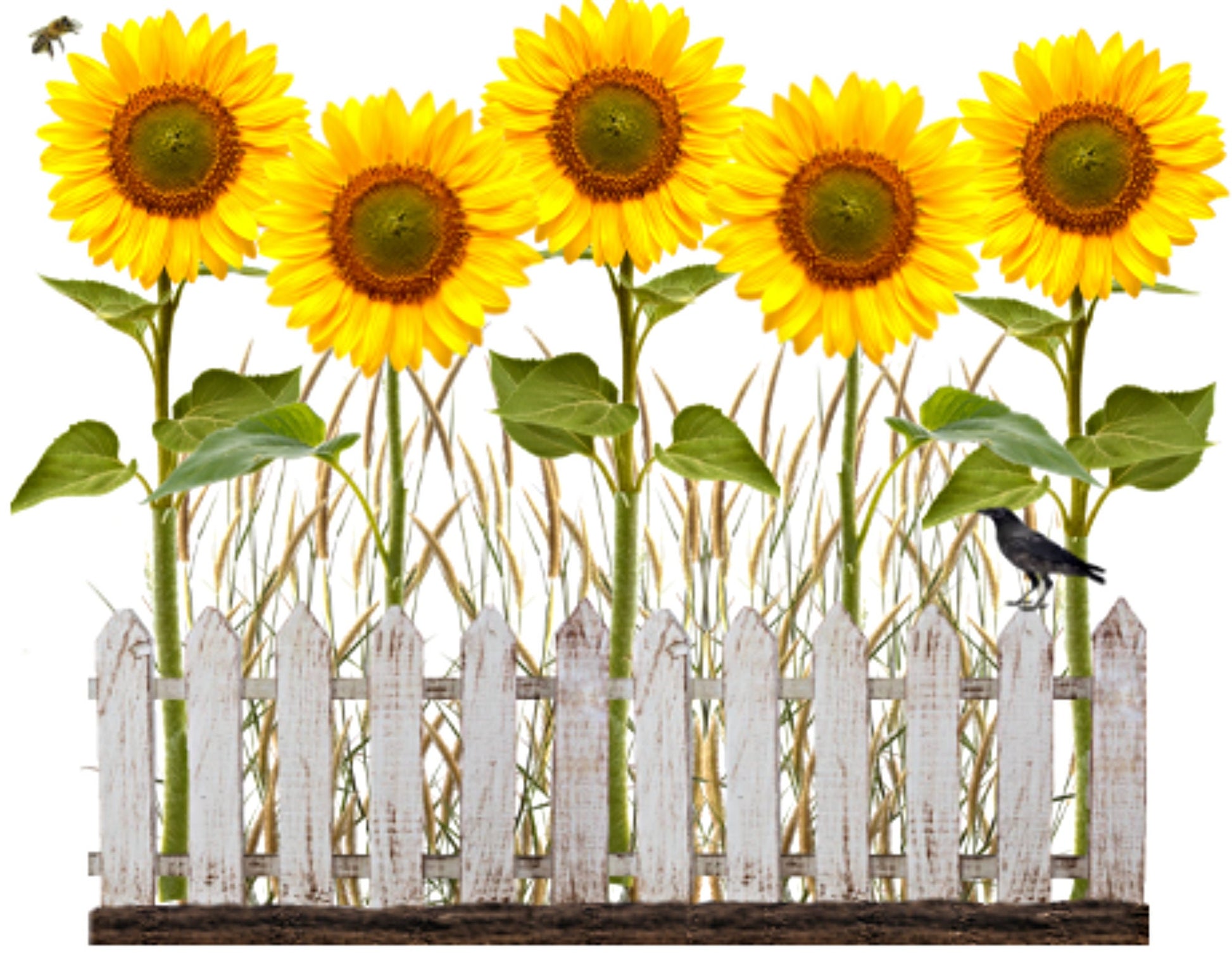 Floral Cards - Sunflowers - set of 10 blank cards with matching envelopes