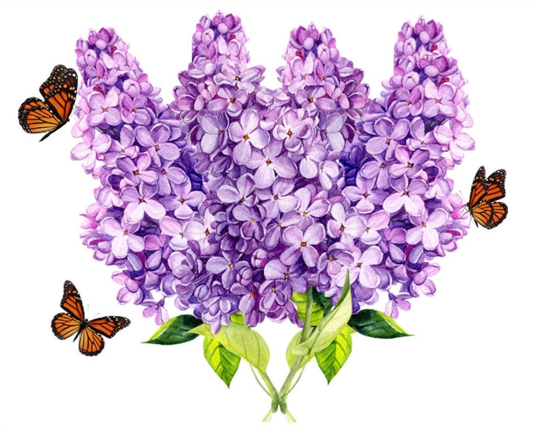 Floral Cards - Lilacs With Butterflies - set of 10 blank cards with matching envelopes