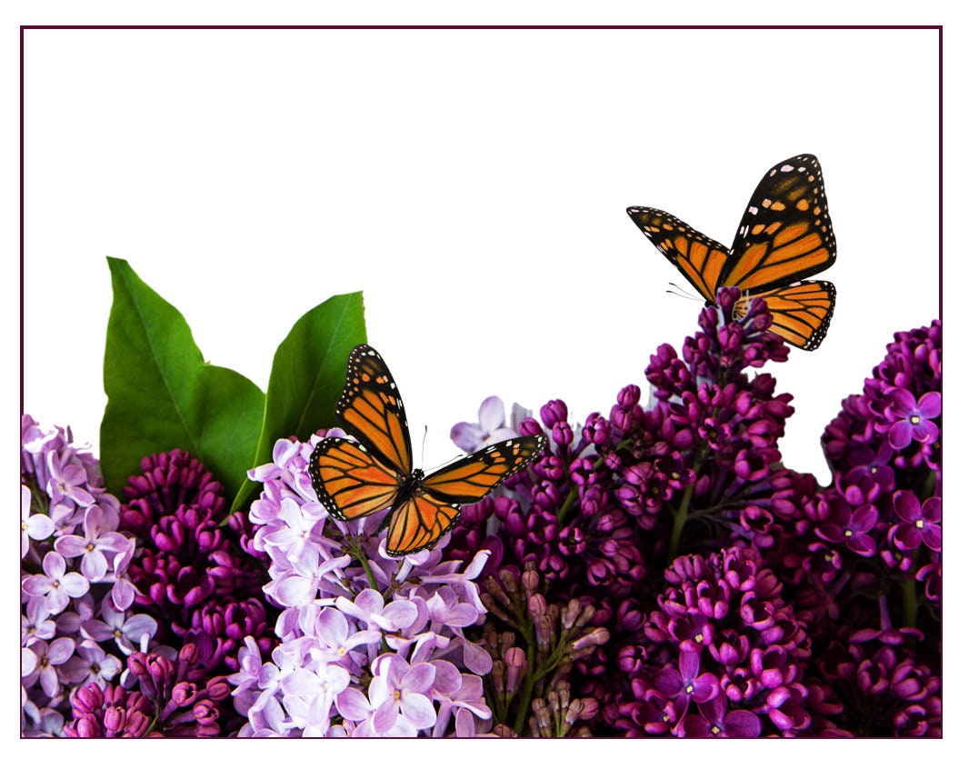 Lilac & Monarch Notecards - set of 10