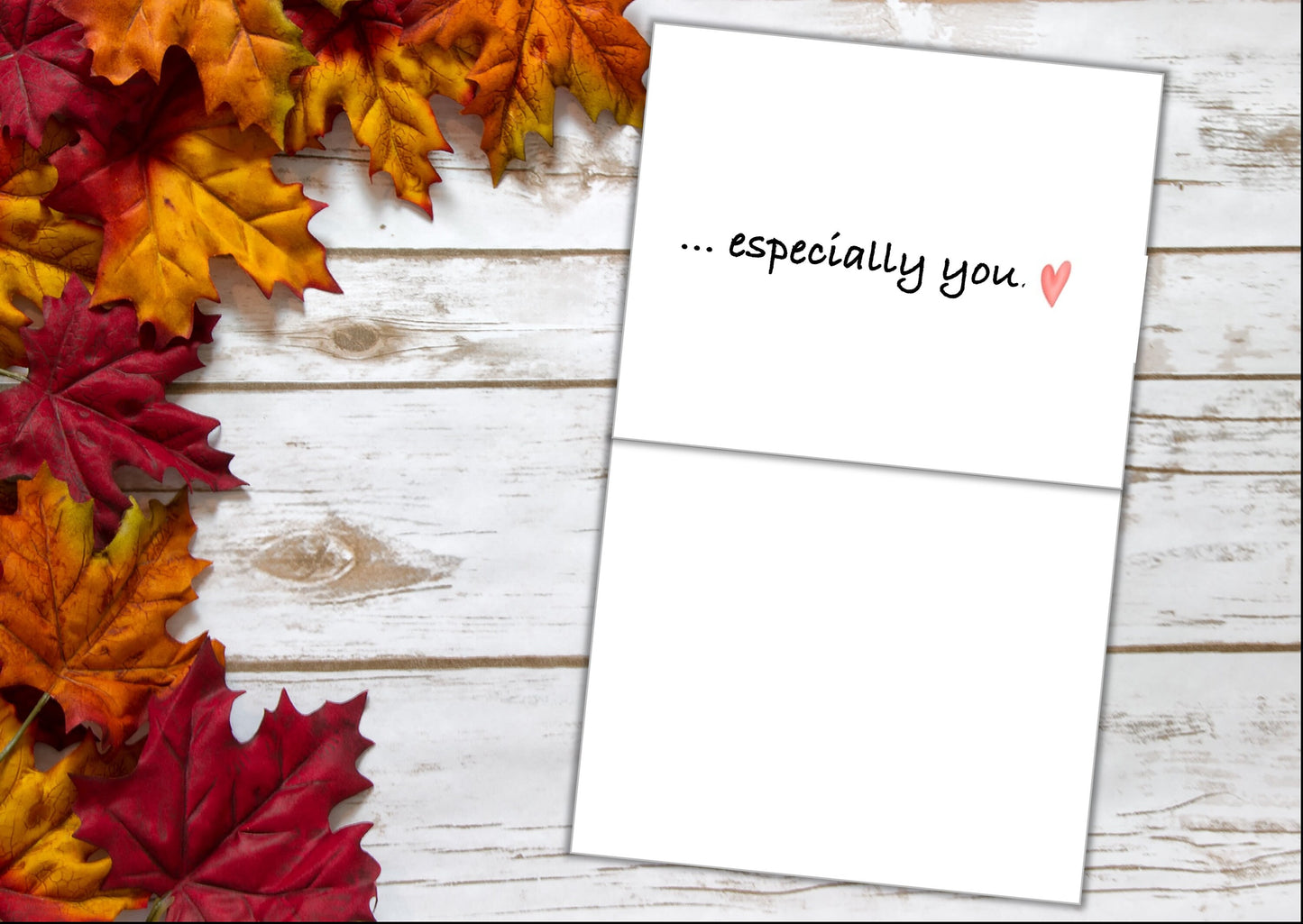 Thanksgiving Cards - So Much to Give Thanks For:Set of 10