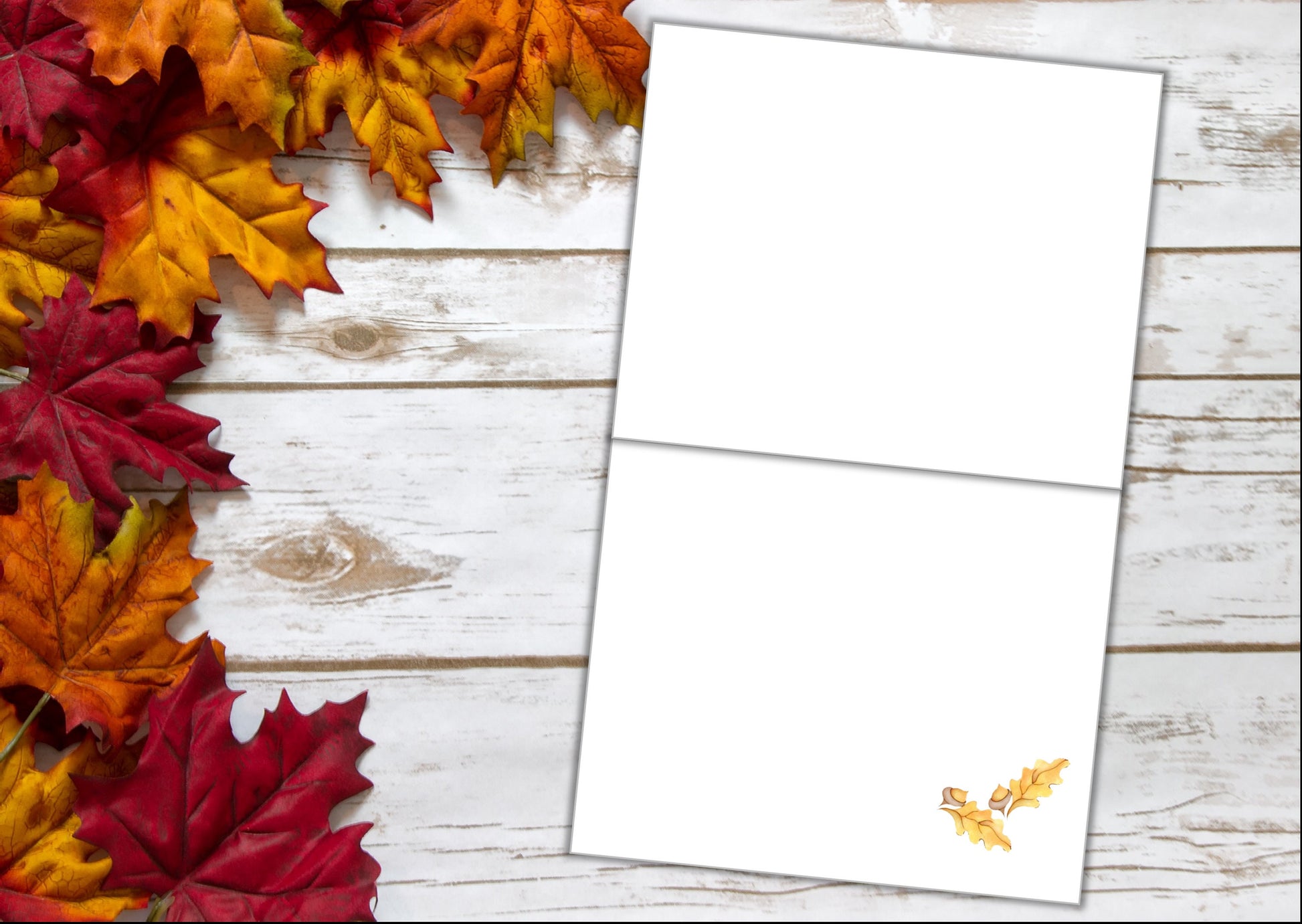 Thanksgiving Cards - Harvest: Set of 10
