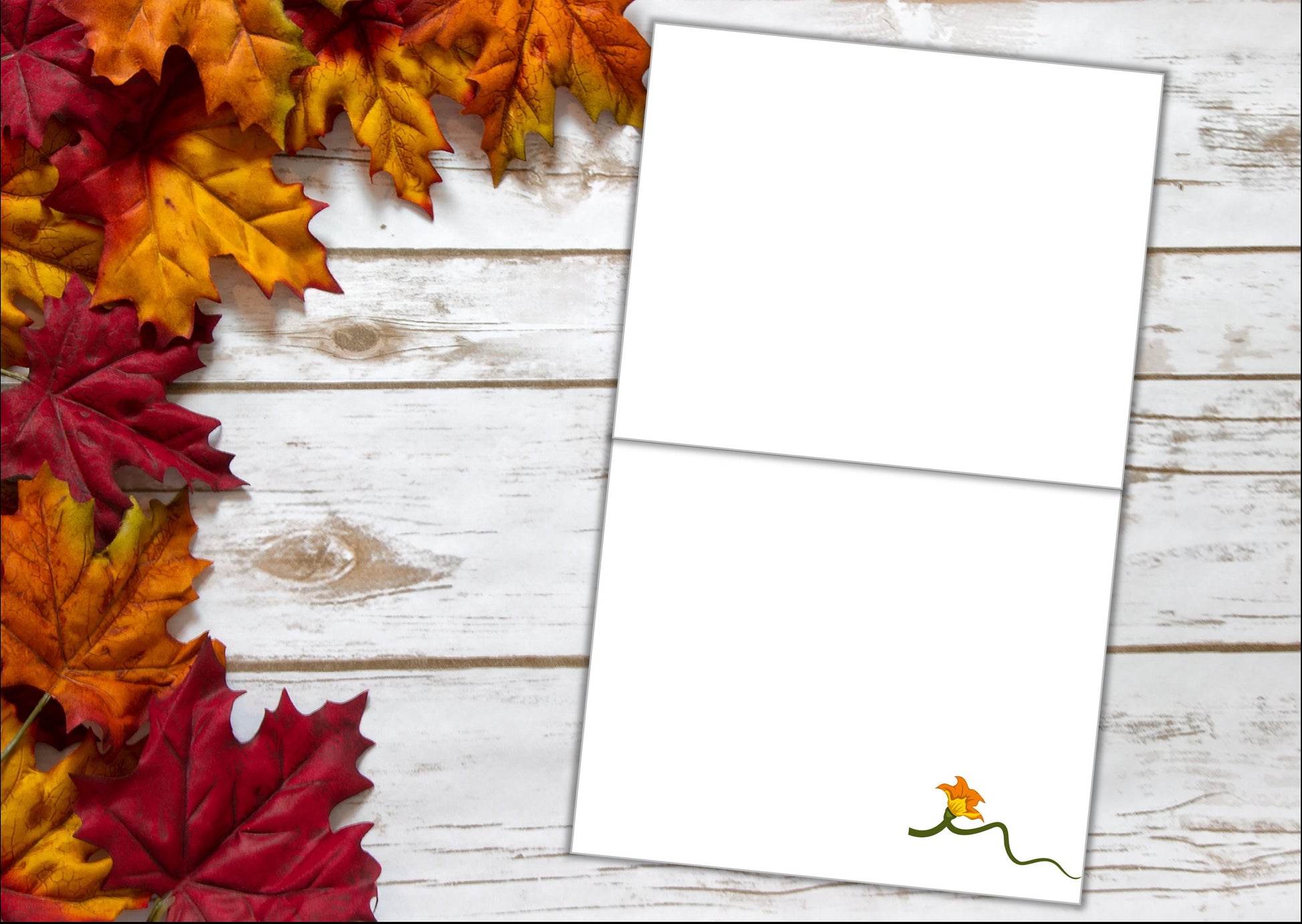 Thanksgiving Cards - Pumpkin Patch: Set of 10