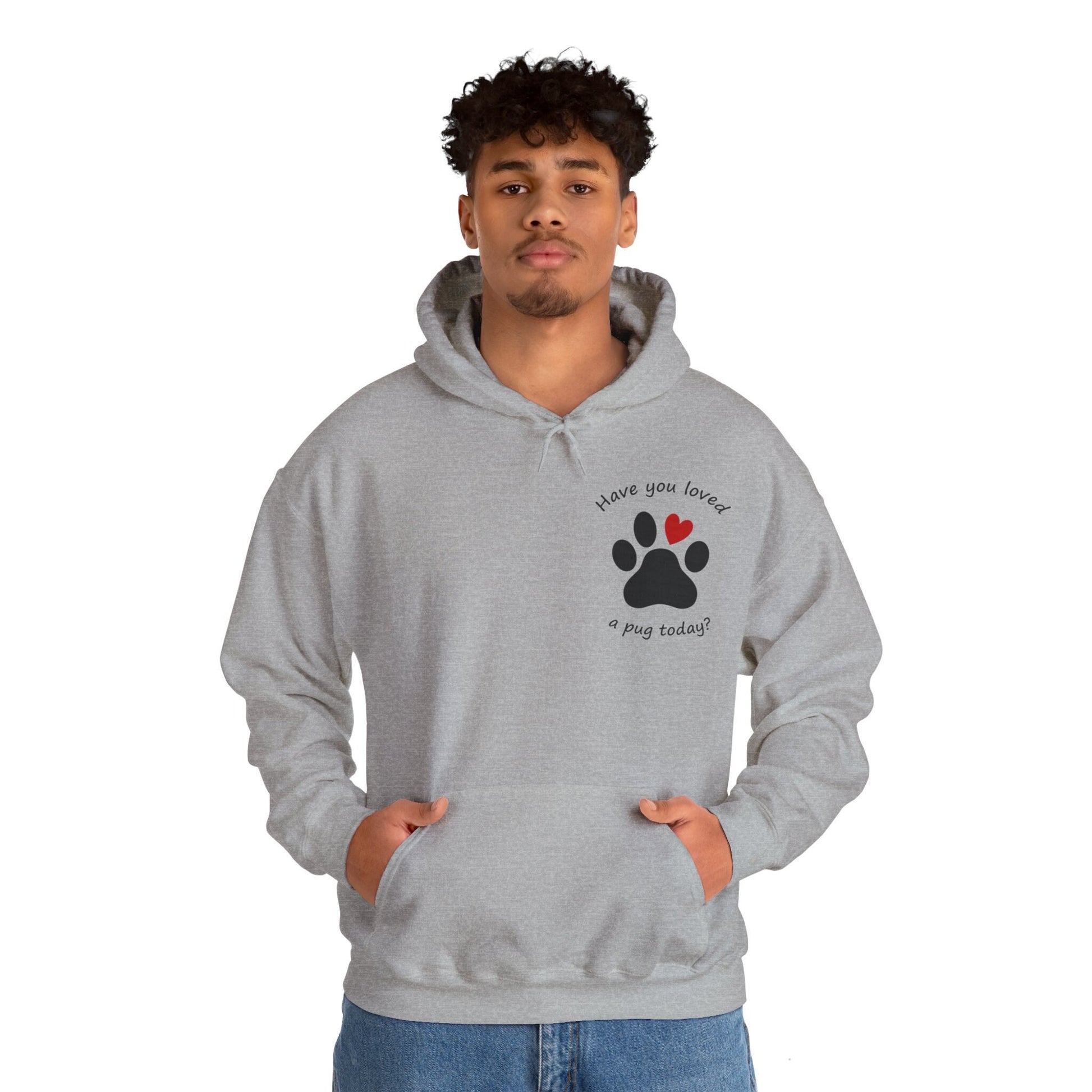 Have You Loved a Pug Today Hoodie