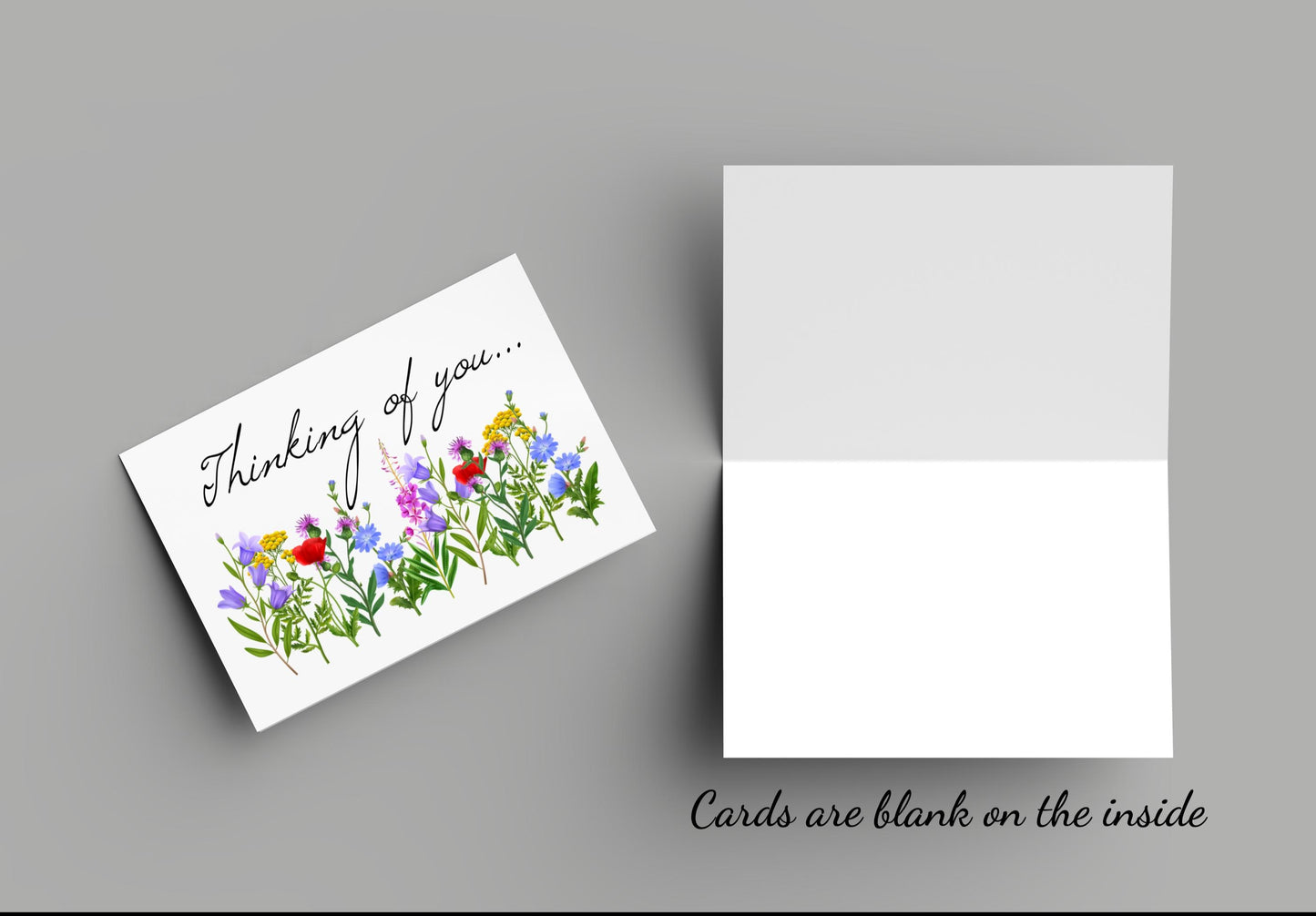 Thinking of you cards - Set of 10 - Blank Inside