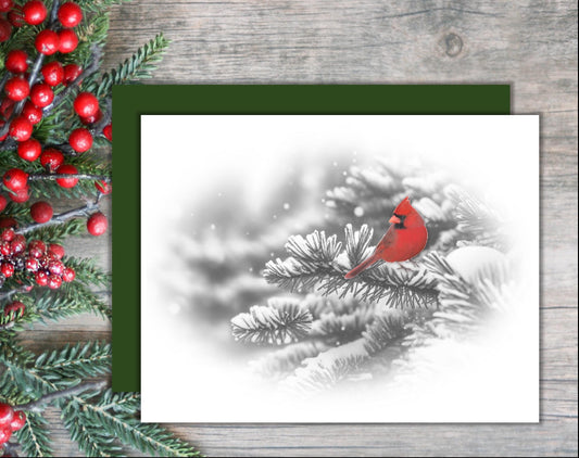 Christmas Card: Cardinal on a Snowy Morning