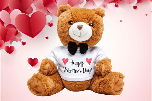 Teddy Bear with T-Shirt, Personalized Valentine's Day Gift, Custom Message Plush Toy, Gift for Loved One, Best Friend Gift, Customized